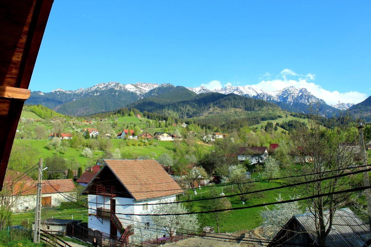 Milea'S Guesthouse Бран Екстер'єр фото