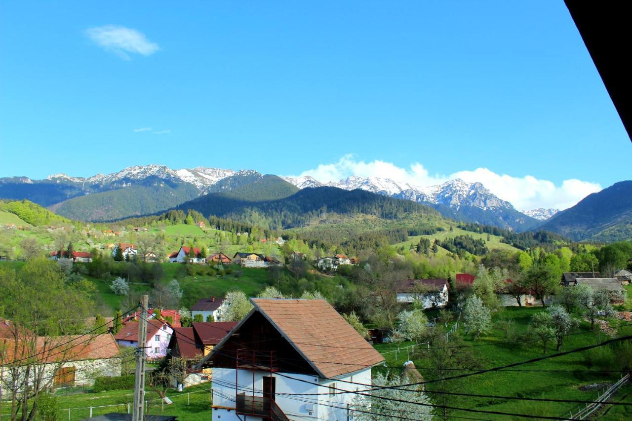 Milea'S Guesthouse Бран Екстер'єр фото
